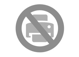 Icon: No Printing